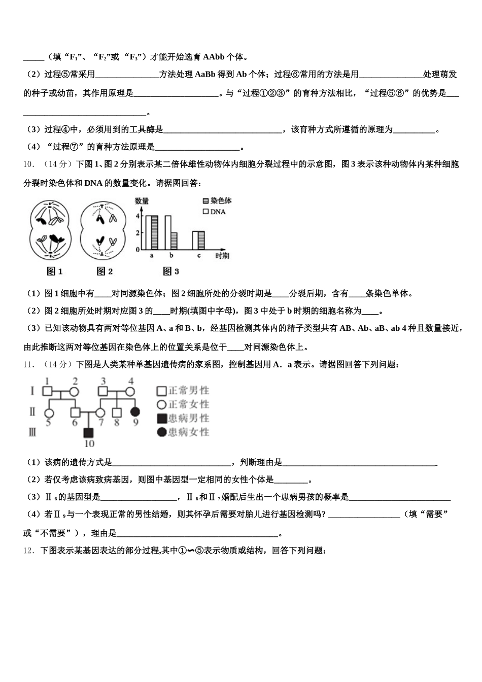 2025届甘肃省武威市第二中学 高一下生物期末质量跟踪监视模拟试题含解析_第3页