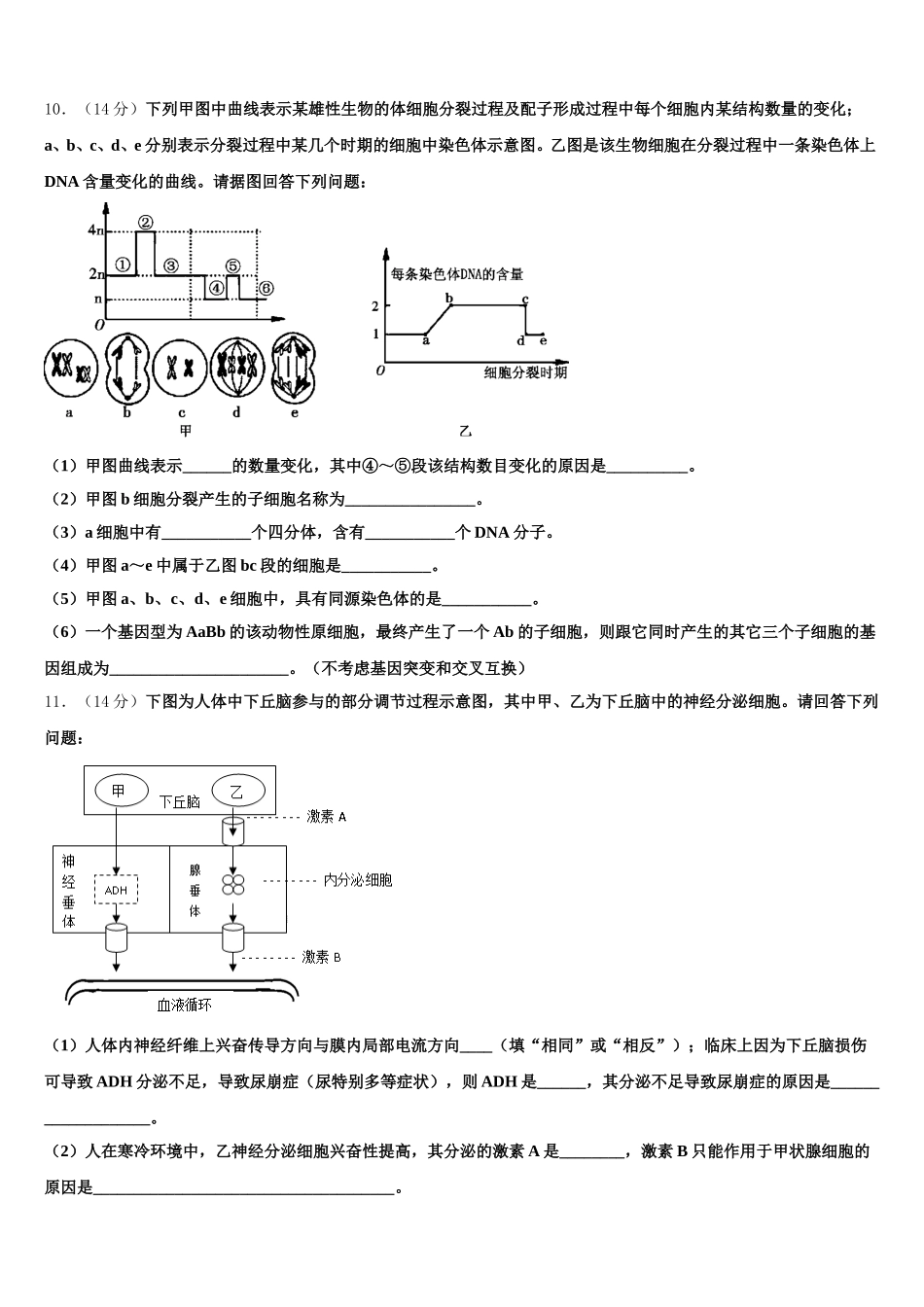 甘肃省武威第一中学2024-2025学年高一下生物期末学业水平测试模拟试题含解析_第3页
