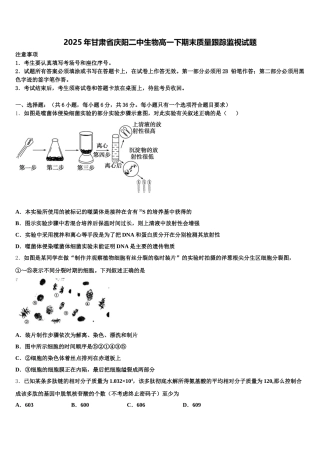 2025年甘肃省庆阳二中生物高一下期末质量跟踪监视试题含解析