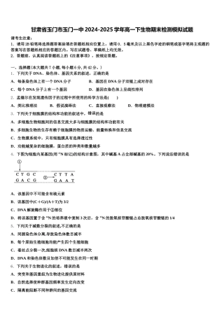 甘肃省玉门市玉门一中2024-2025学年高一下生物期末检测模拟试题含解析