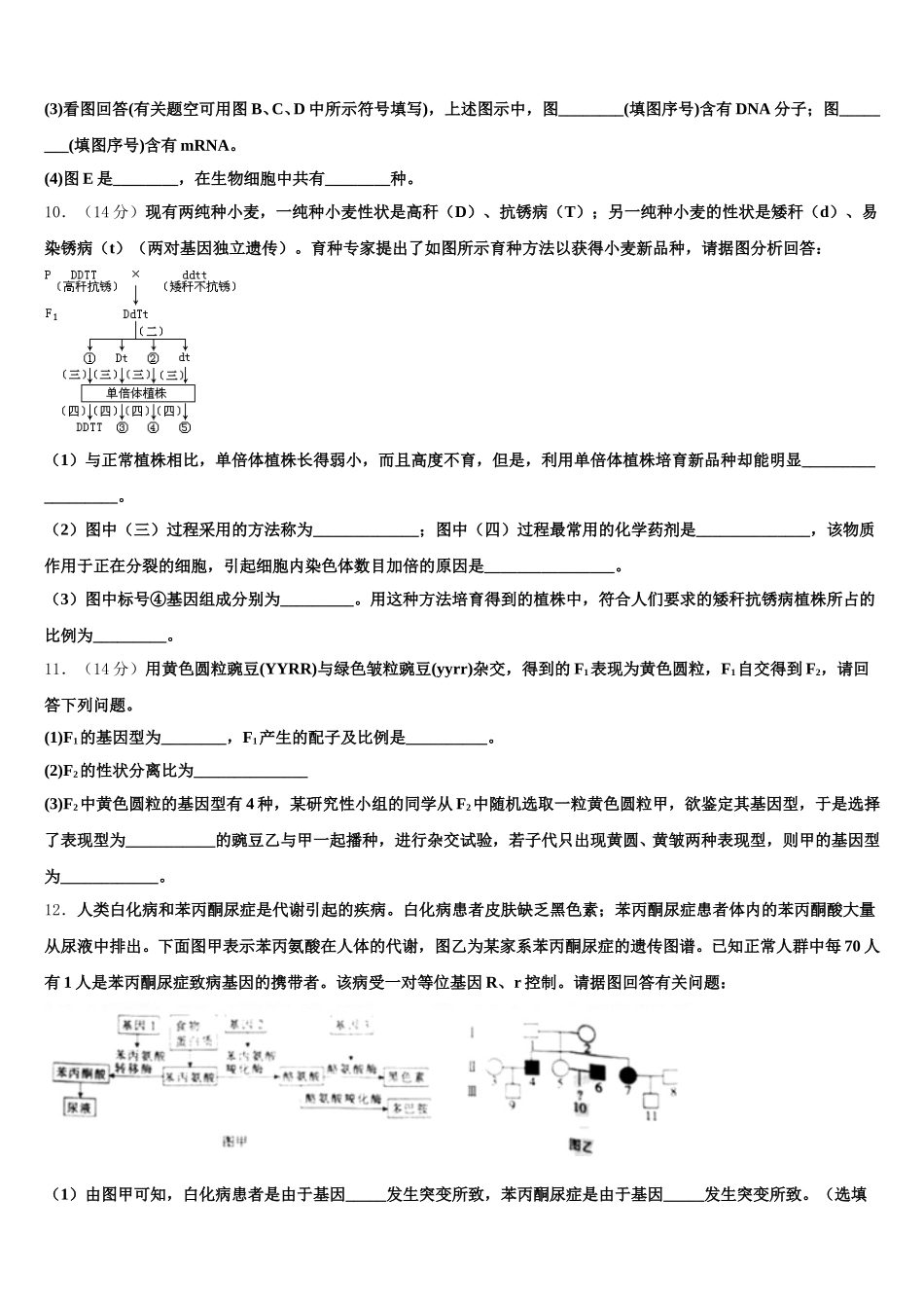 2024-2025学年甘肃省示范名校高一下生物期末检测模拟试题含解析_第3页