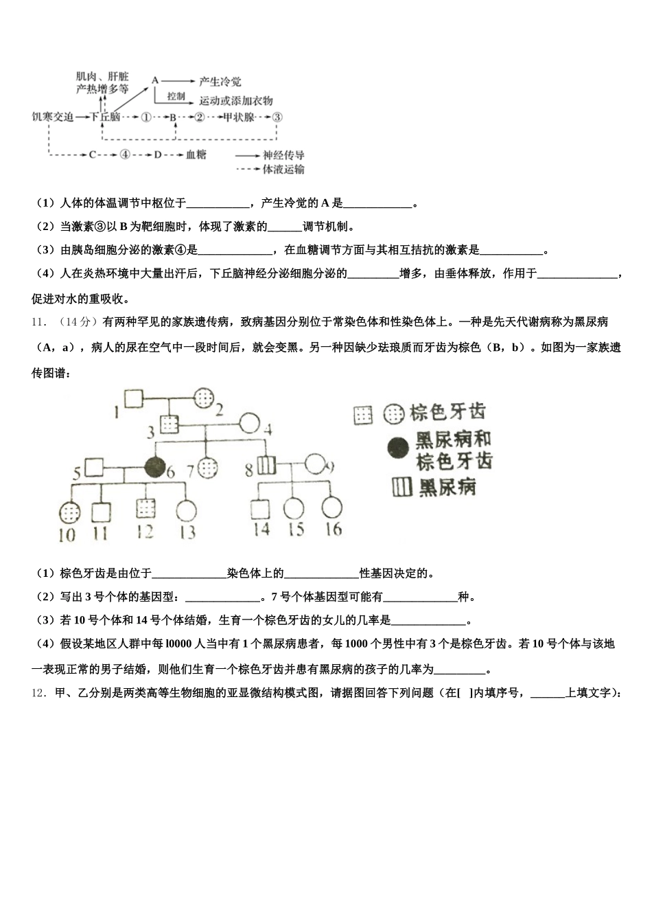 2025届甘肃省白银市靖远县生物高一下期末经典试题含解析_第3页
