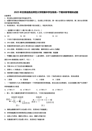 2025年甘肃省西北师范大学附属中学生物高一下期末联考模拟试题含解析