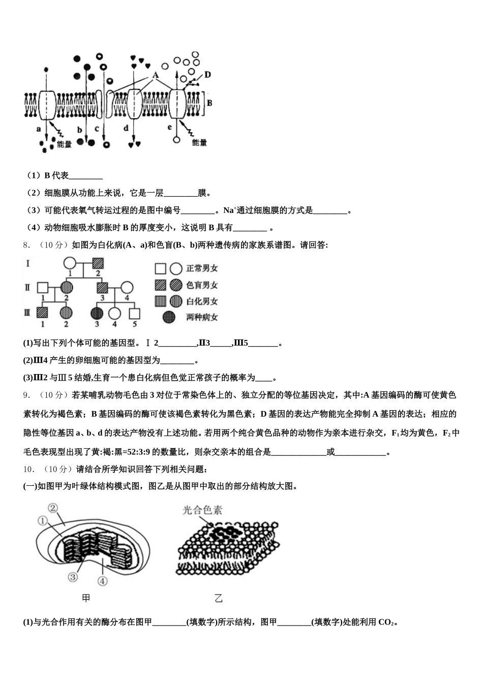 2025年甘肃天水市第一中学生物高一第二学期期末调研模拟试题含解析_第3页