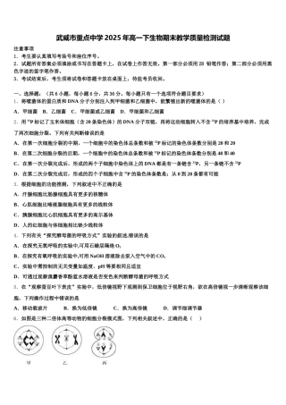 武威市重点中学2025年高一下生物期末教学质量检测试题含解析