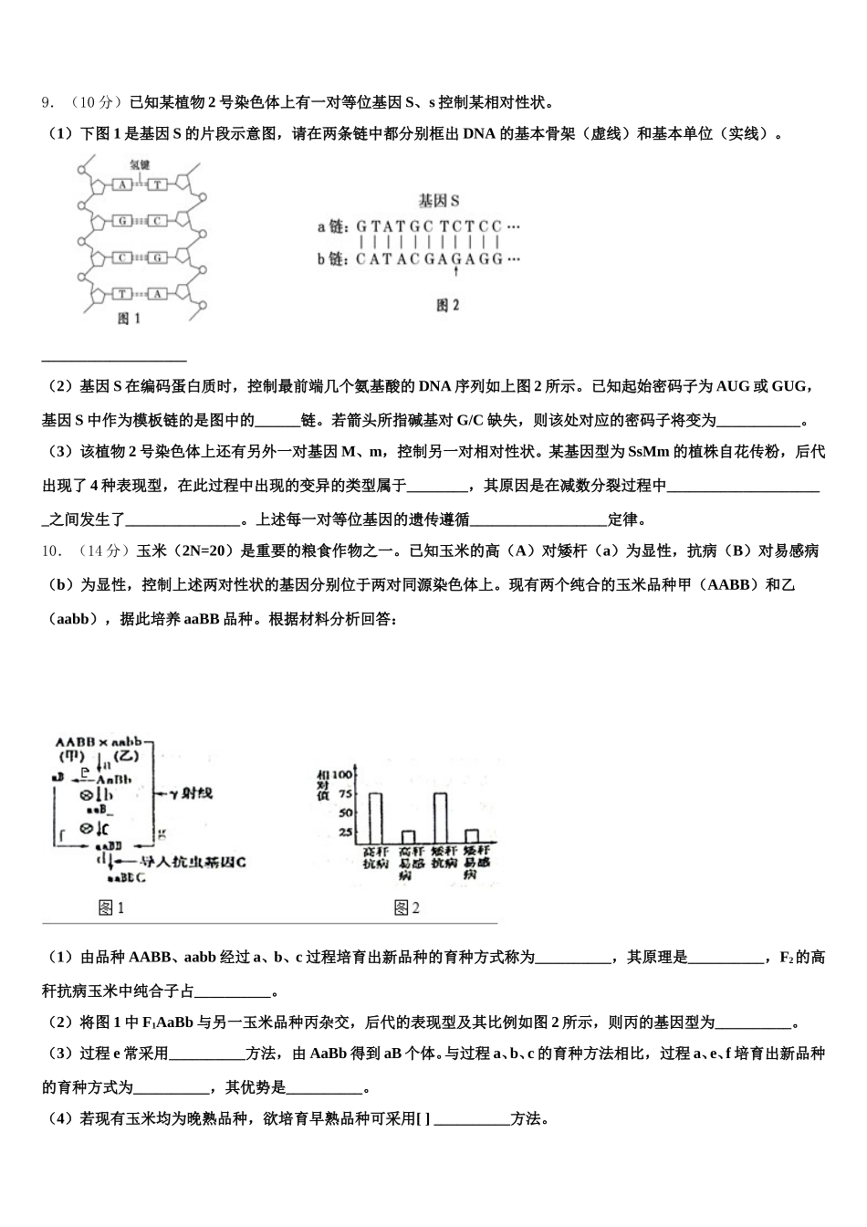 2025届甘肃省兰州市第四中学高一生物第二学期期末教学质量检测试题含解析_第3页