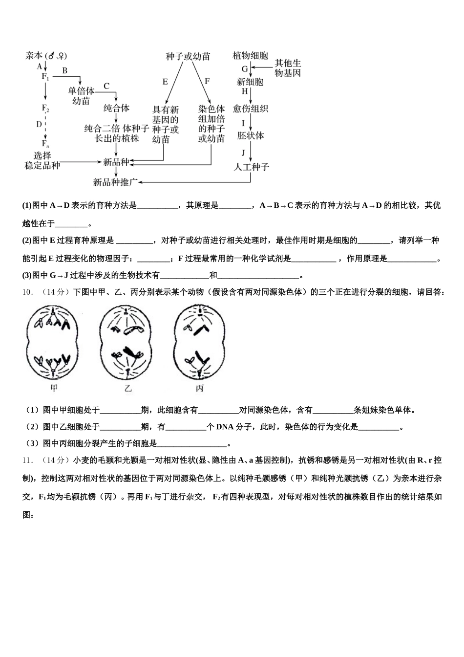 2025年甘肃省临夏市临夏中学高一生物第二学期期末检测模拟试题含解析_第3页