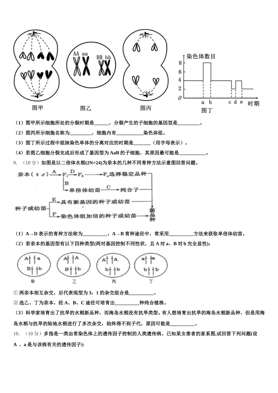 2025届甘肃省宁县二中生物高一第二学期期末质量检测模拟试题含解析_第3页