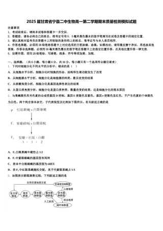 2025届甘肃省宁县二中生物高一第二学期期末质量检测模拟试题含解析