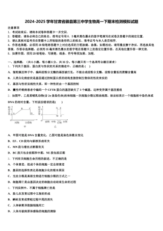 2024-2025学年甘肃省徽县第三中学生物高一下期末检测模拟试题含解析
