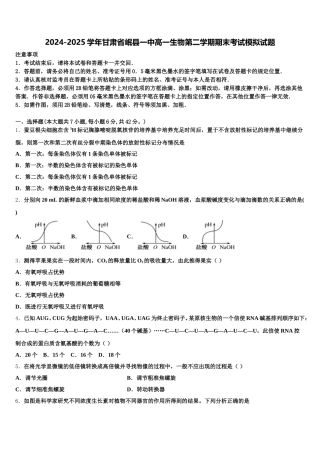 2024-2025学年甘肃省岷县一中高一生物第二学期期末考试模拟试题含解析