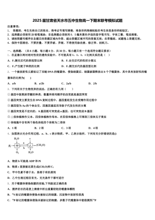 2025届甘肃省天水市五中生物高一下期末联考模拟试题含解析