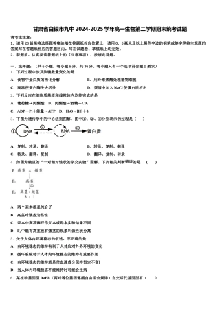 甘肃省白银市九中2024-2025学年高一生物第二学期期末统考试题含解析