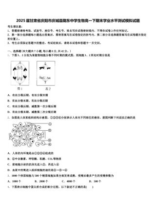 2025届甘肃省庆阳市庆城县陇东中学生物高一下期末学业水平测试模拟试题含解析