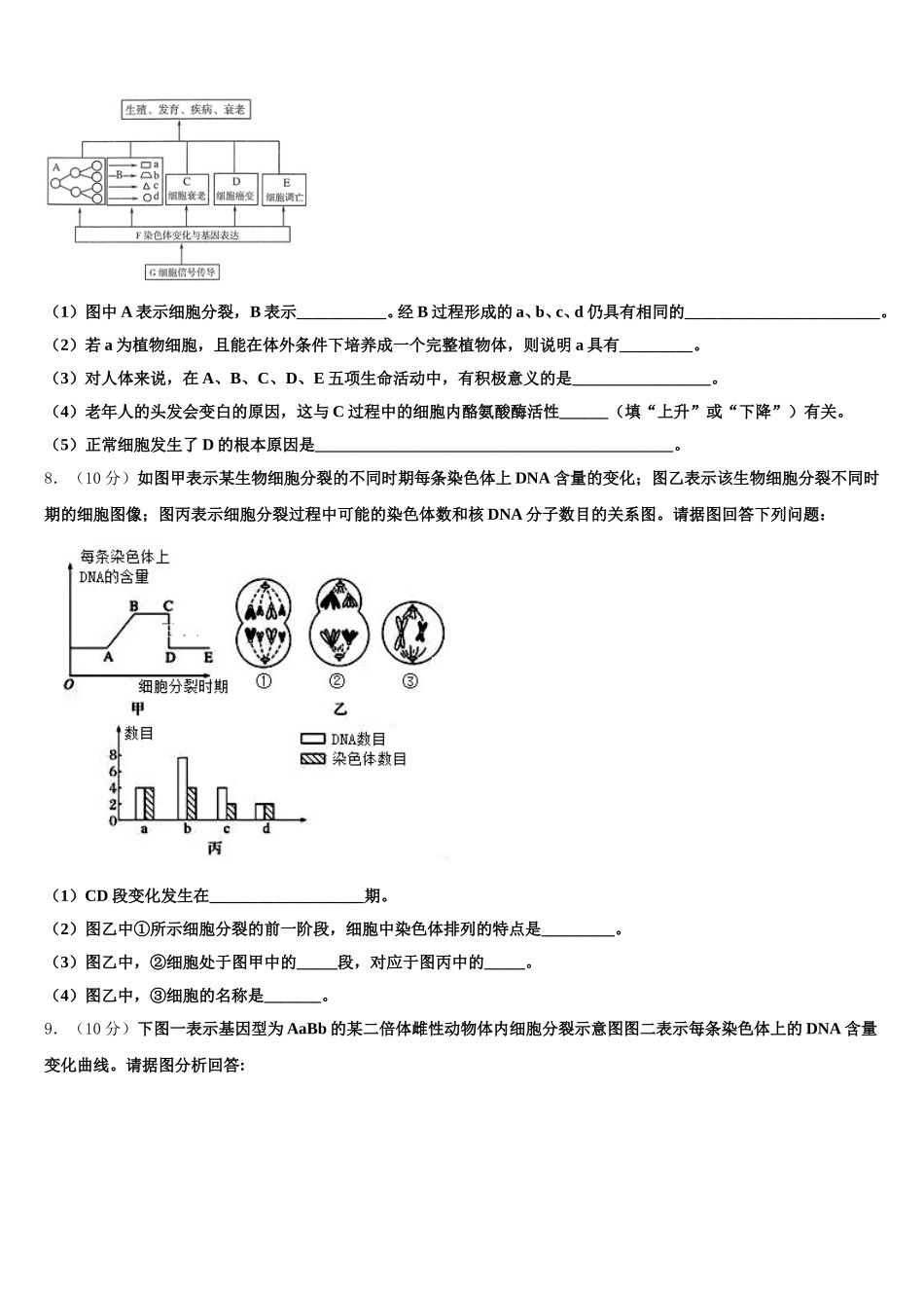 2025届甘肃省白银市靖远县第一中学高一生物第二学期期末质量跟踪监视试题含解析_第3页
