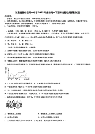 甘肃省甘谷县第一中学2025年生物高一下期末达标检测模拟试题含解析