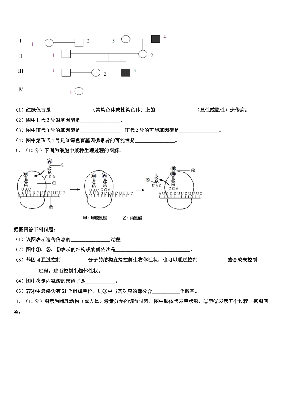 2024-2025学年甘肃省庆阳市长庆中学生物高一下期末联考模拟试题含解析_第3页