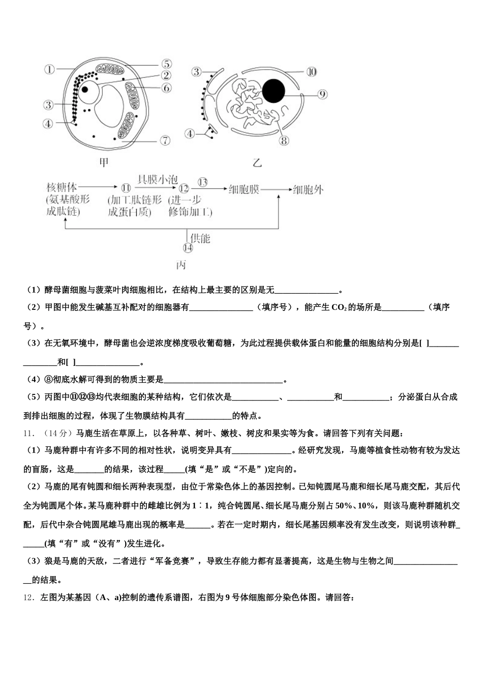 甘肃省武威市河西成功学校2024-2025学年生物高一下期末复习检测试题含解析_第3页