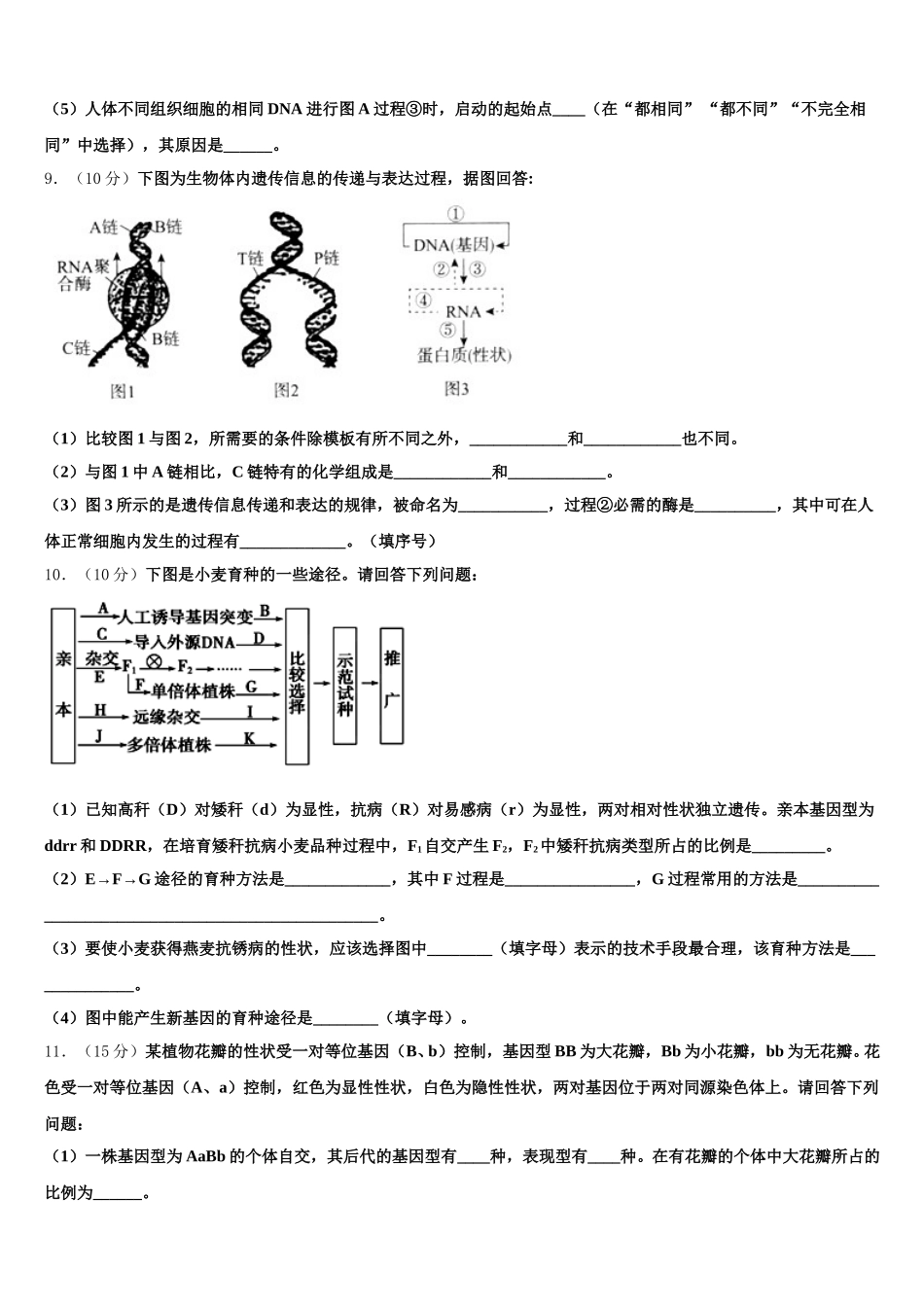 甘肃省天水市第二中学2024-2025学年高一生物第二学期期末监测模拟试题含解析_第3页