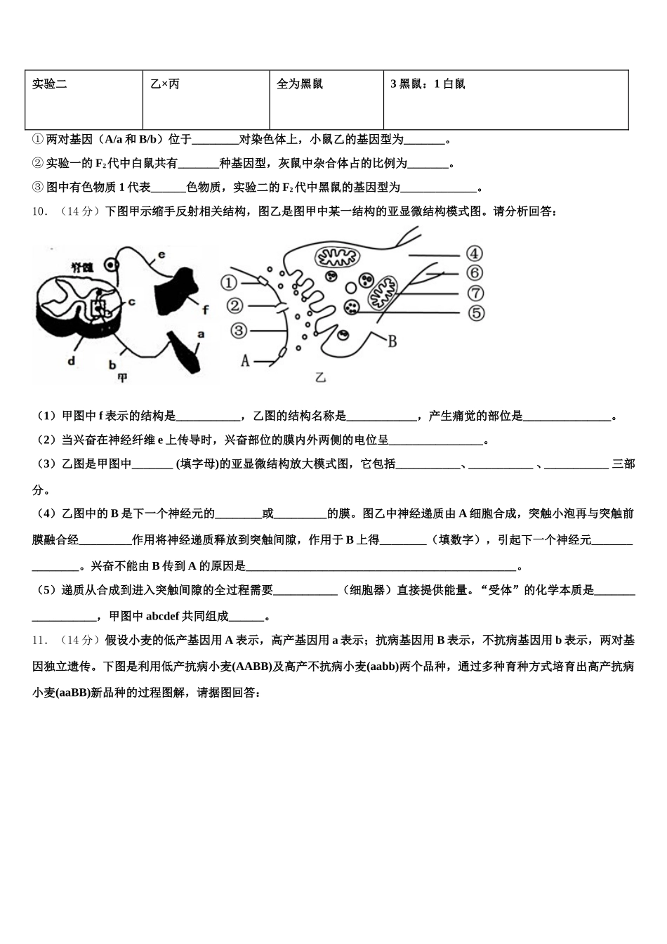 甘肃省古浪县第二中学2024-2025学年生物高一下期末复习检测模拟试题含解析_第3页