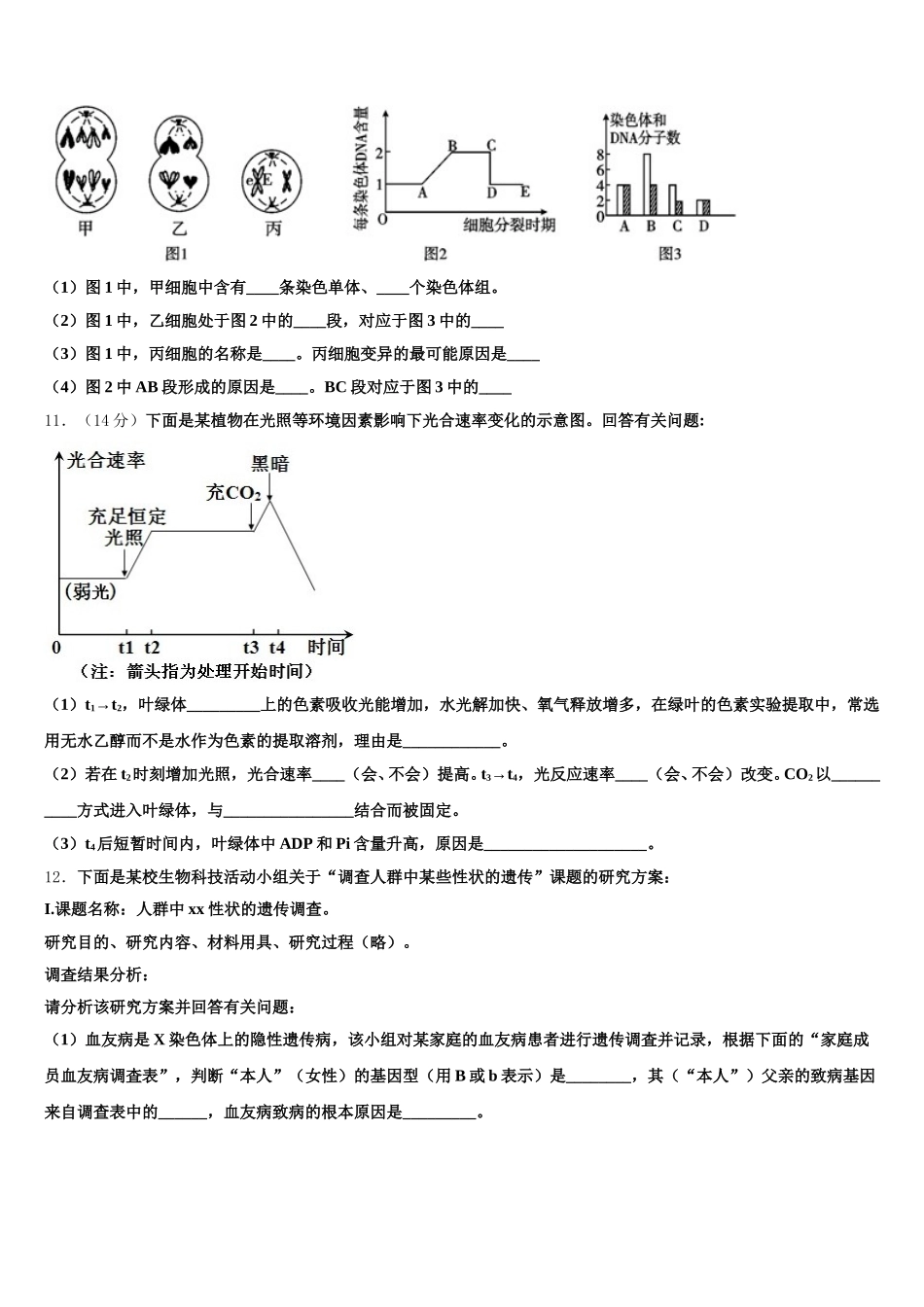 2025届甘肃省高一下生物期末考试模拟试题含解析_第3页