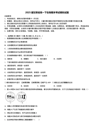 2025届甘肃省高一下生物期末考试模拟试题含解析