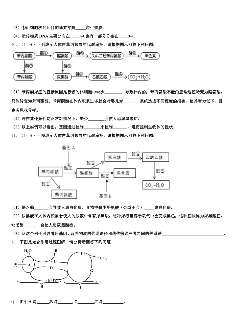 2025年甘肃省武威第十八中学生物高一第二学期期末质量检测模拟试题含解析_第3页