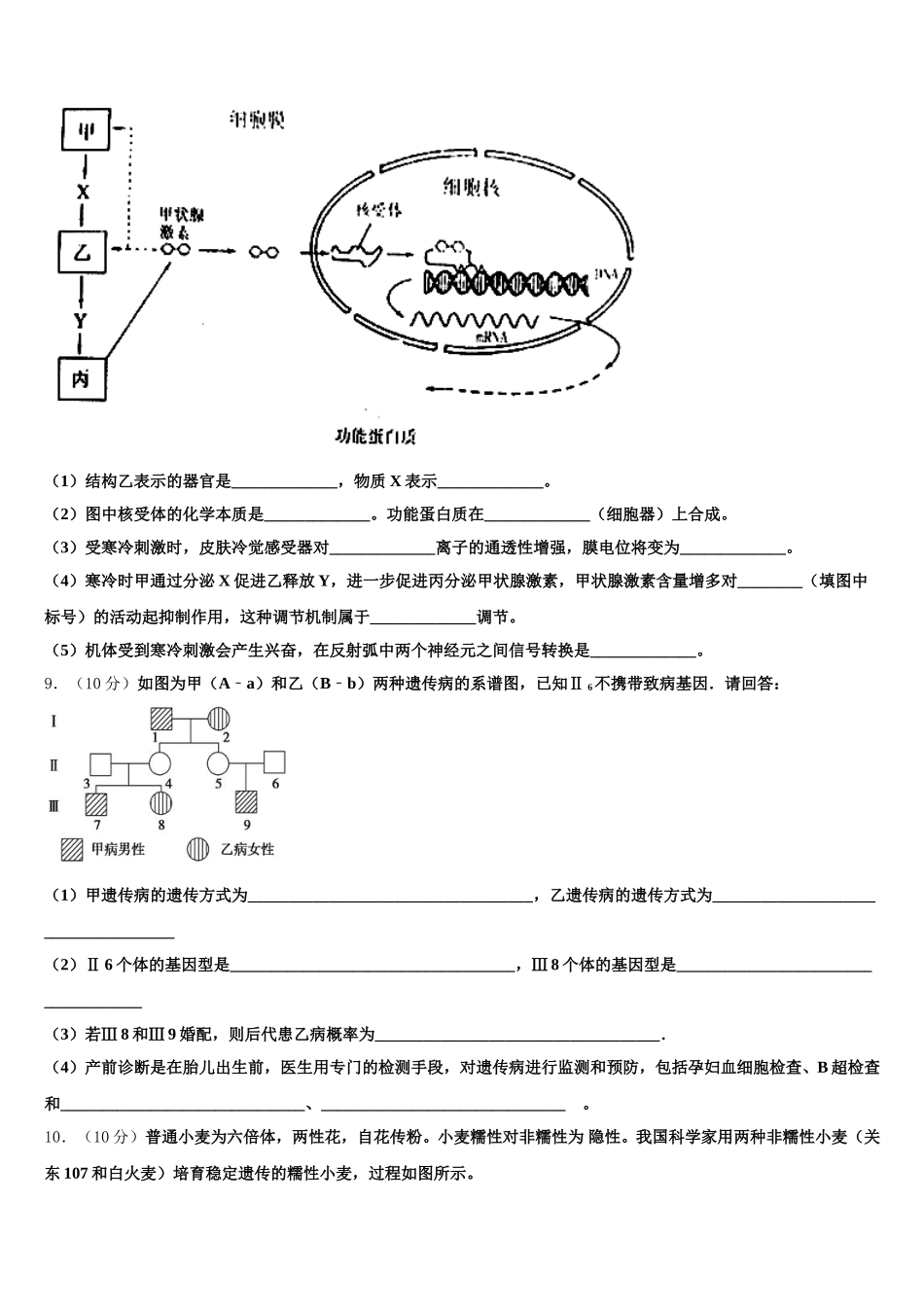 2025届甘肃静宁县第一中学高一下生物期末调研模拟试题含解析_第3页