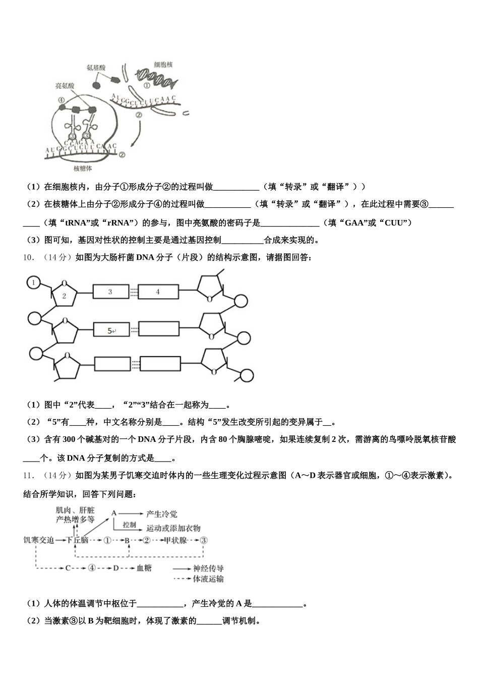2025届甘肃省武威市凉州区高一下生物期末经典试题含解析_第3页