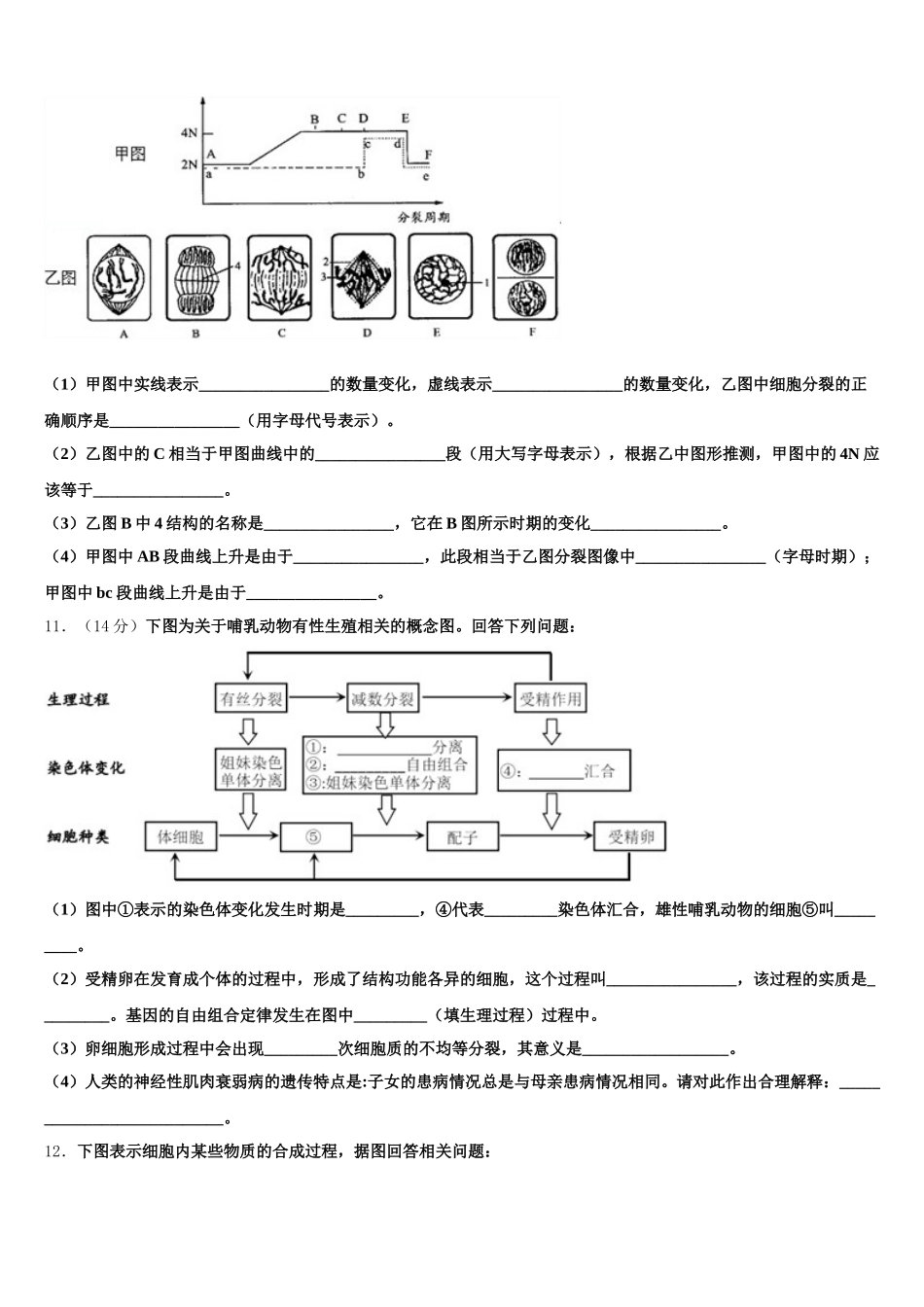 2024-2025学年甘肃省临洮县第二中学高一生物第二学期期末考试模拟试题含解析_第3页
