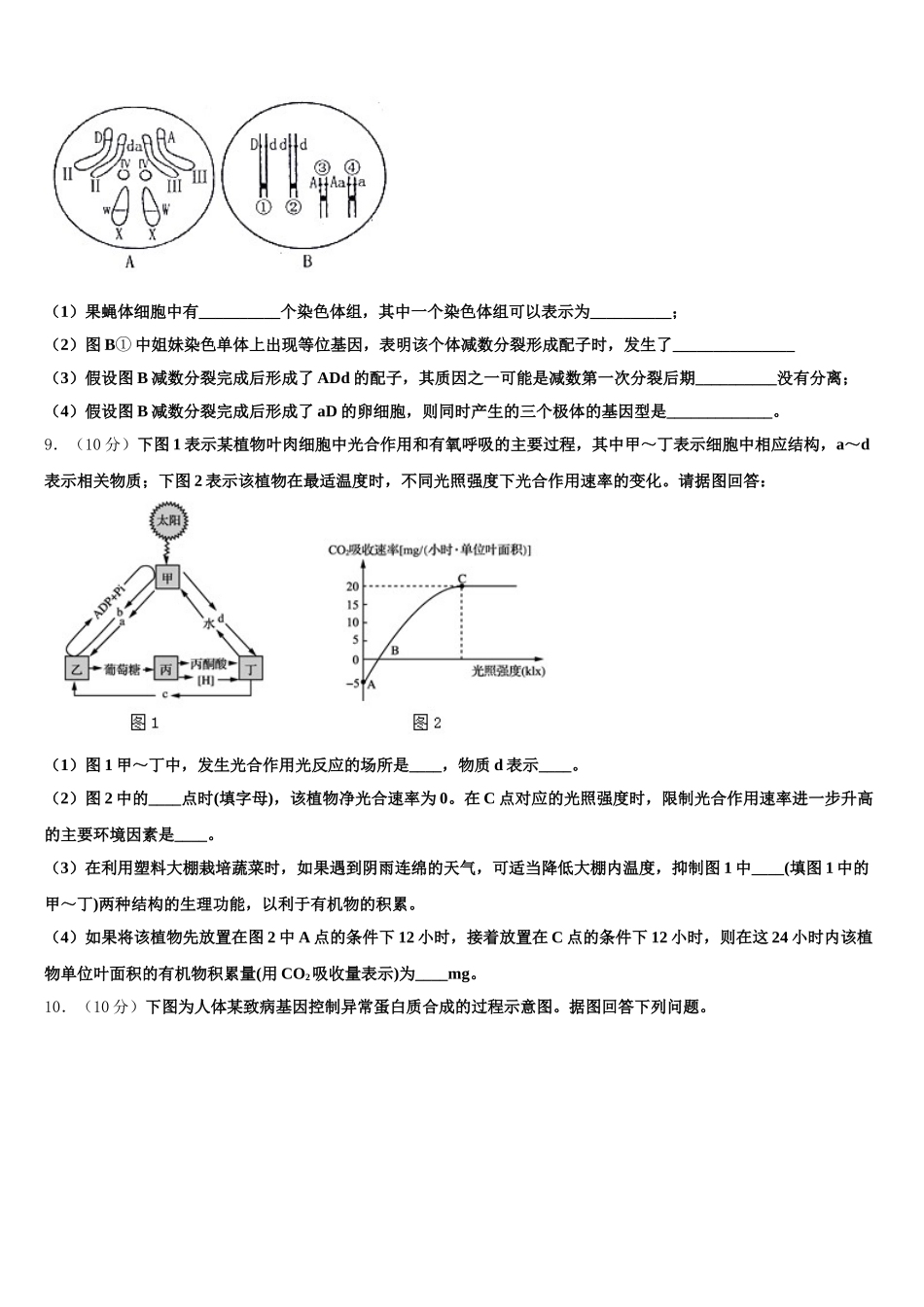 2025届甘肃省兰州市市区片高一下生物期末学业质量监测模拟试题含解析_第3页