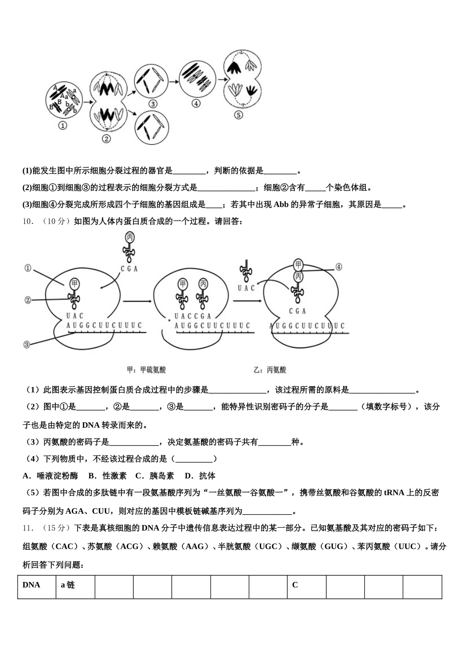 2025届临夏市重点中学生物高一第二学期期末质量跟踪监视试题含解析_第3页