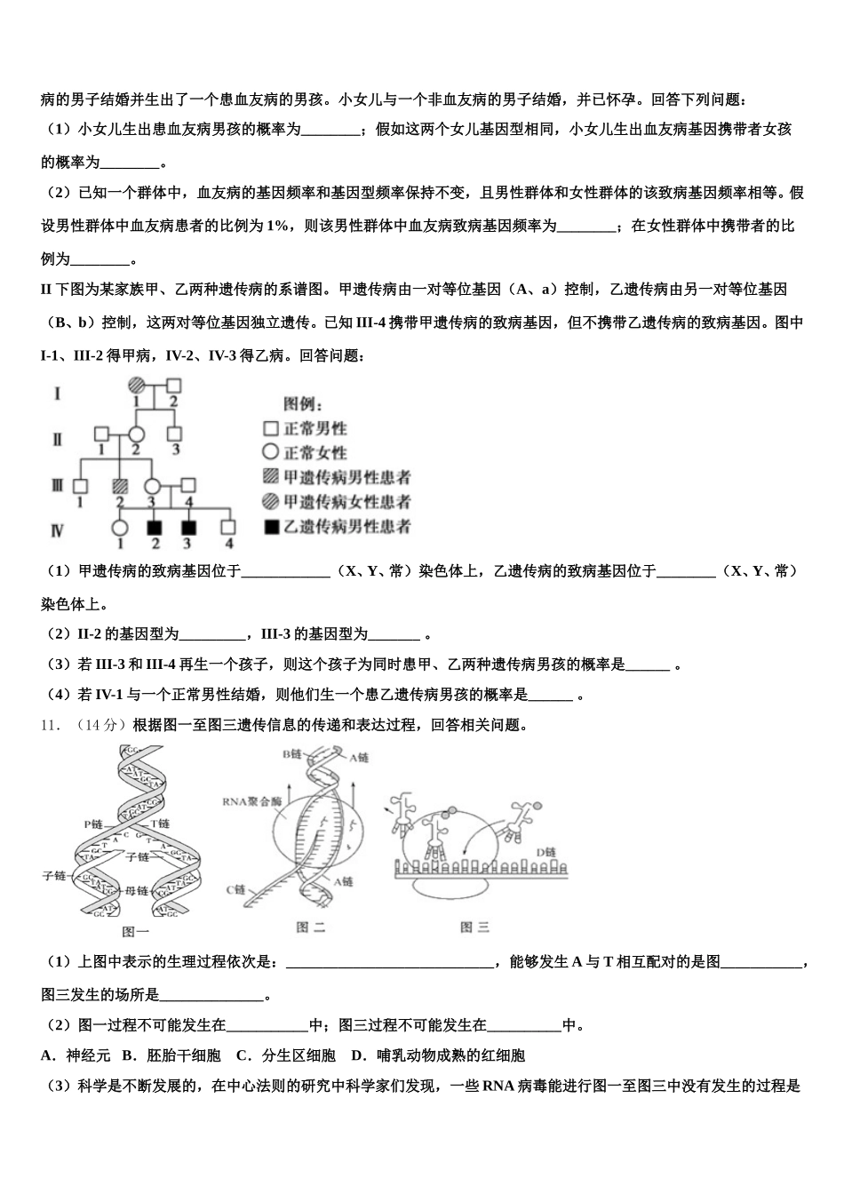 白银十中2024-2025学年高一下生物期末学业水平测试试题含解析_第3页
