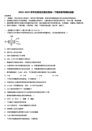 2024-2025学年甘肃省甘南生物高一下期末联考模拟试题含解析