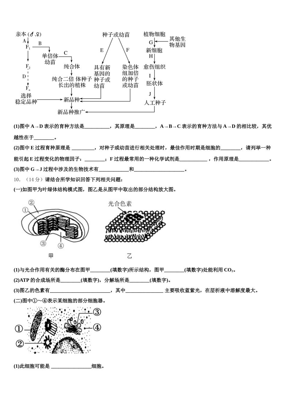 甘肃省兰州市兰大附中2025届高一生物第二学期期末调研试题含解析_第3页