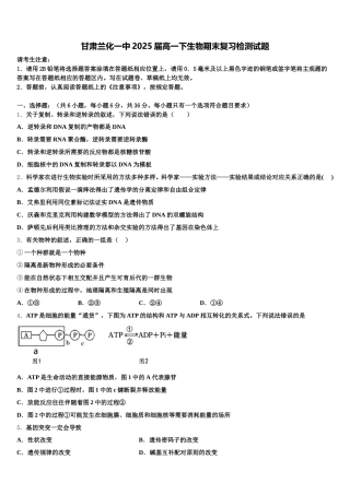 甘肃兰化一中2025届高一下生物期末复习检测试题含解析