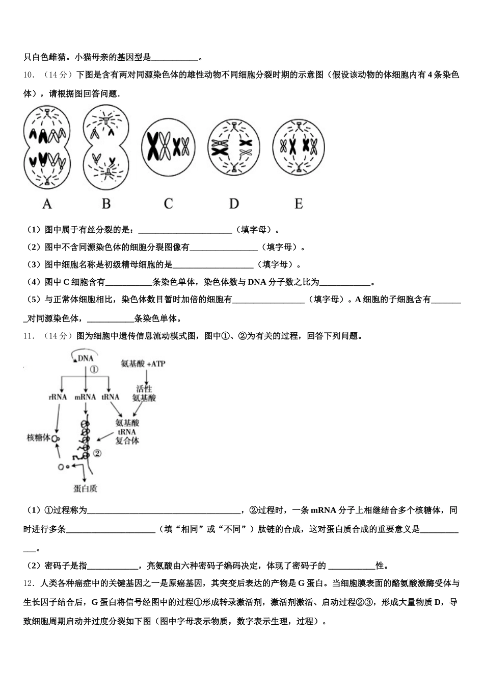 2025届甘肃省肃南县第一中学生物高一第二学期期末经典试题含解析_第3页