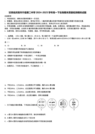 甘肃省庆阳市宁县第二中学2024-2025学年高一下生物期末质量检测模拟试题含解析