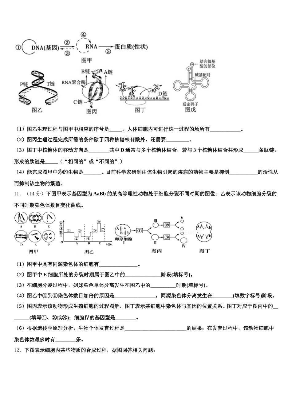 2025年甘肃省会宁县第二中学高一生物第二学期期末复习检测模拟试题含解析_第3页