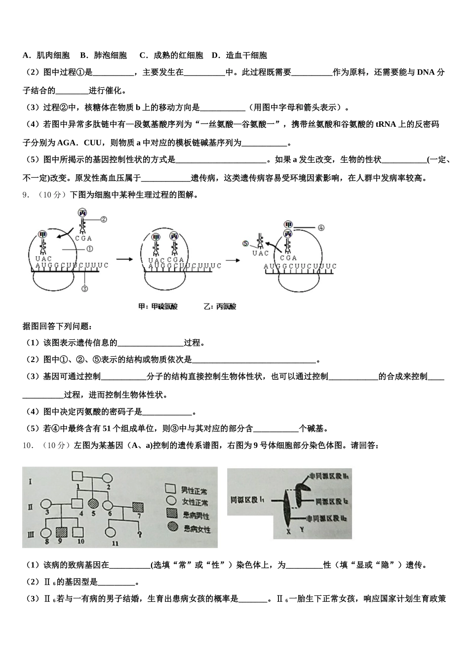 2025年甘肃省定西市岷县二中生物高一第二学期期末达标检测模拟试题含解析_第3页