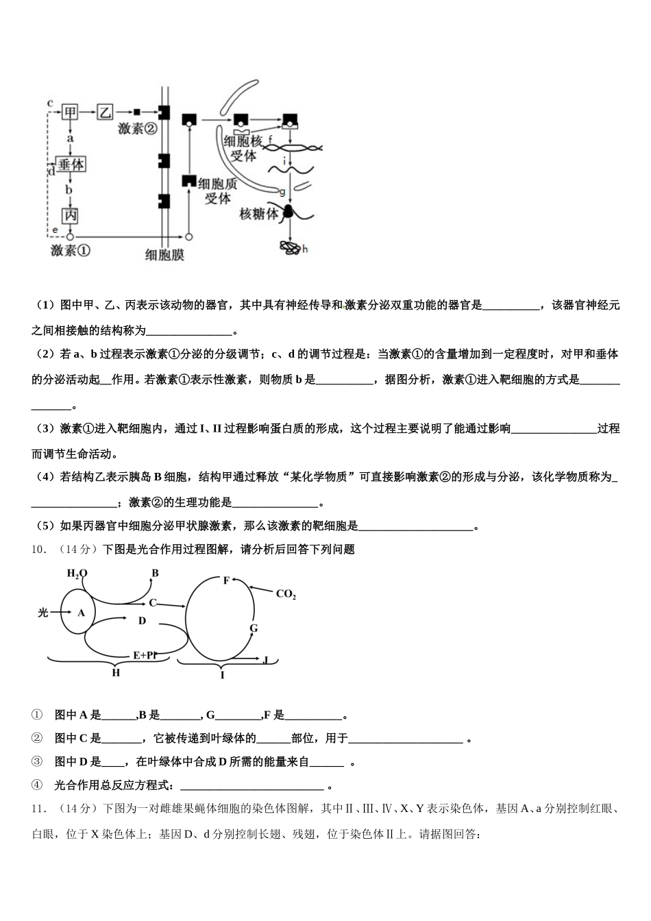 2025届甘肃省兰州市第二中学高一下生物期末教学质量检测模拟试题含解析_第3页