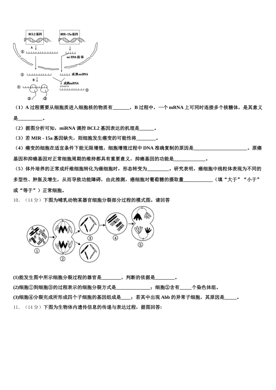 甘肃省武山一中2025届高一下生物期末教学质量检测试题含解析_第3页