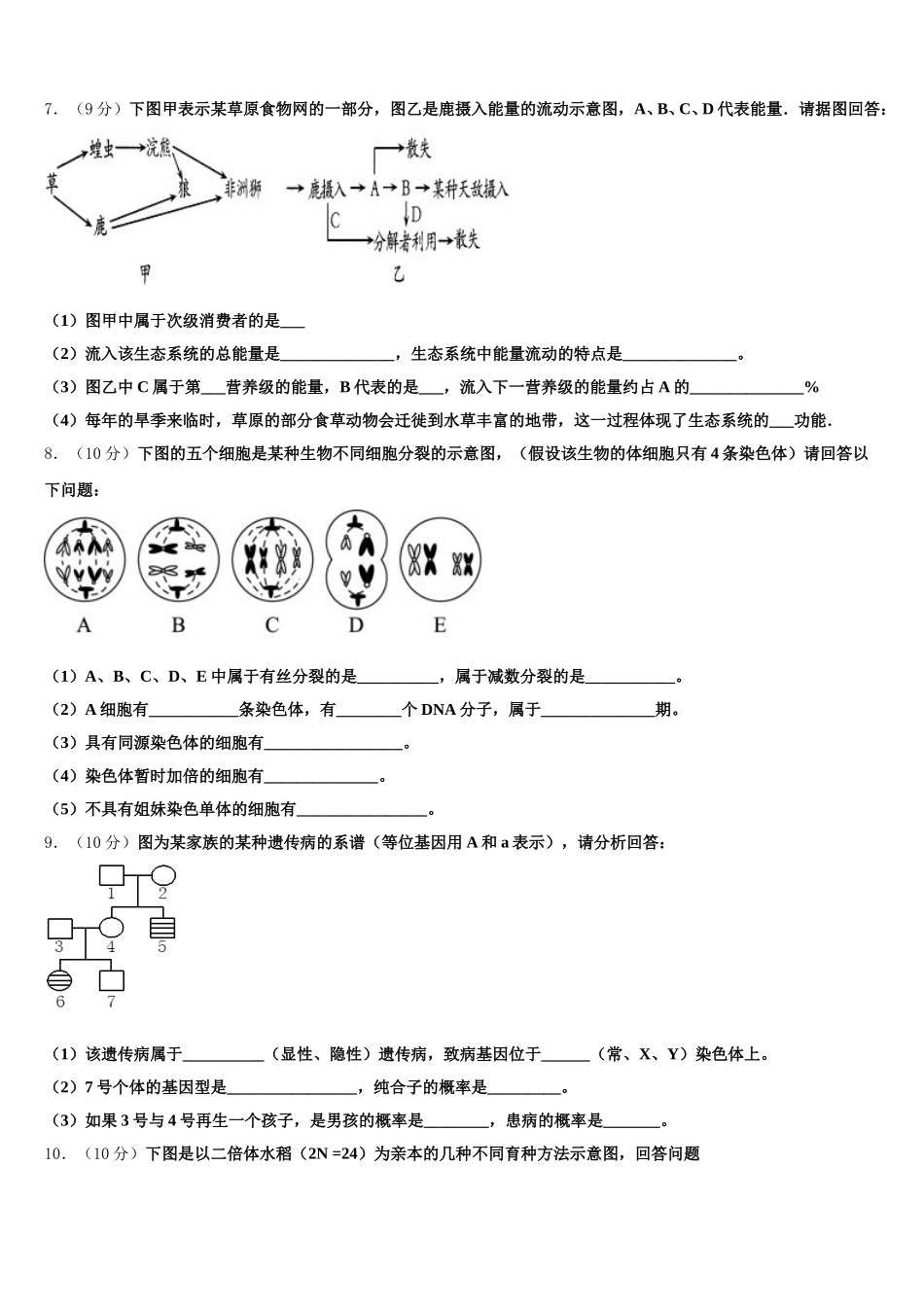 2024-2025学年甘肃省张掖市临泽县一中高一生物第二学期期末质量检测试题含解析_第2页