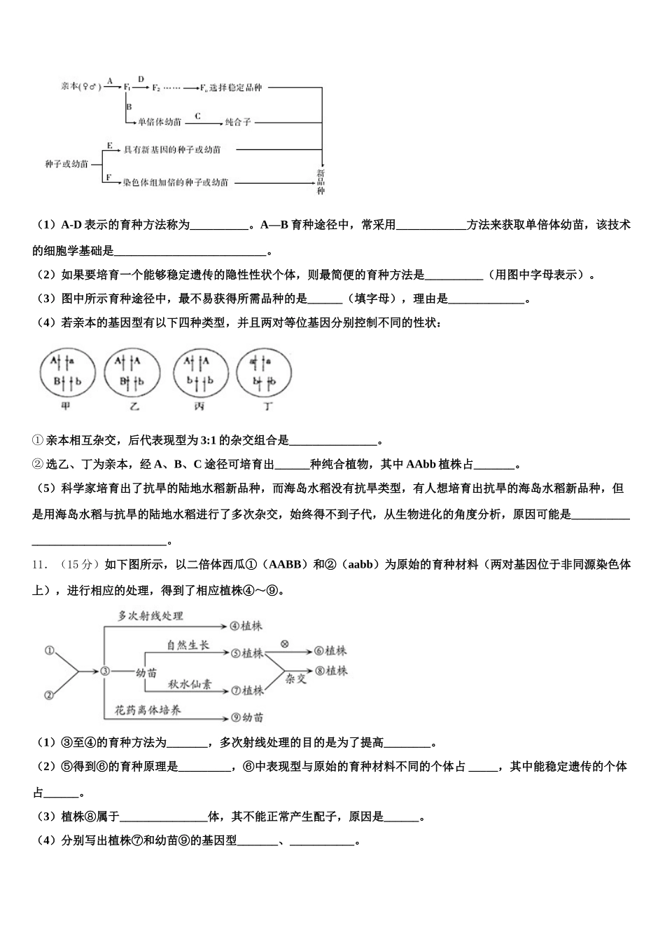 2024-2025学年甘肃省张掖市临泽县一中高一生物第二学期期末质量检测试题含解析_第3页
