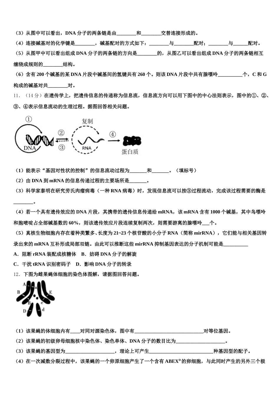 甘肃省兰州市西北师范大学附属中学2024-2025学年生物高一第二学期期末复习检测模拟试题含解析_第3页