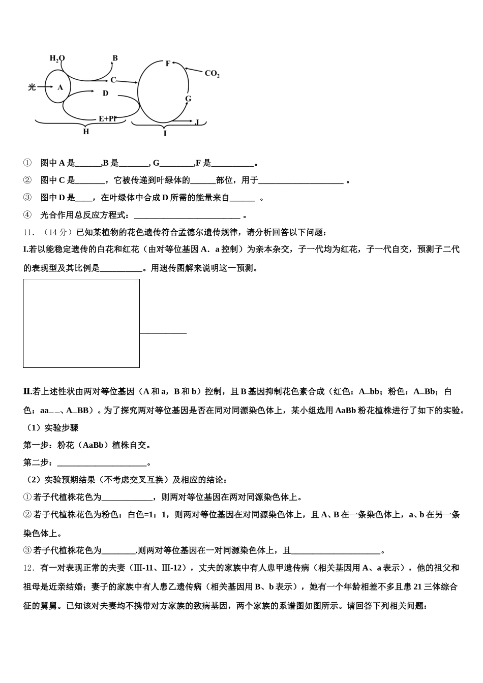 庆阳市重点中学2025年高一生物第二学期期末教学质量检测模拟试题含解析_第3页