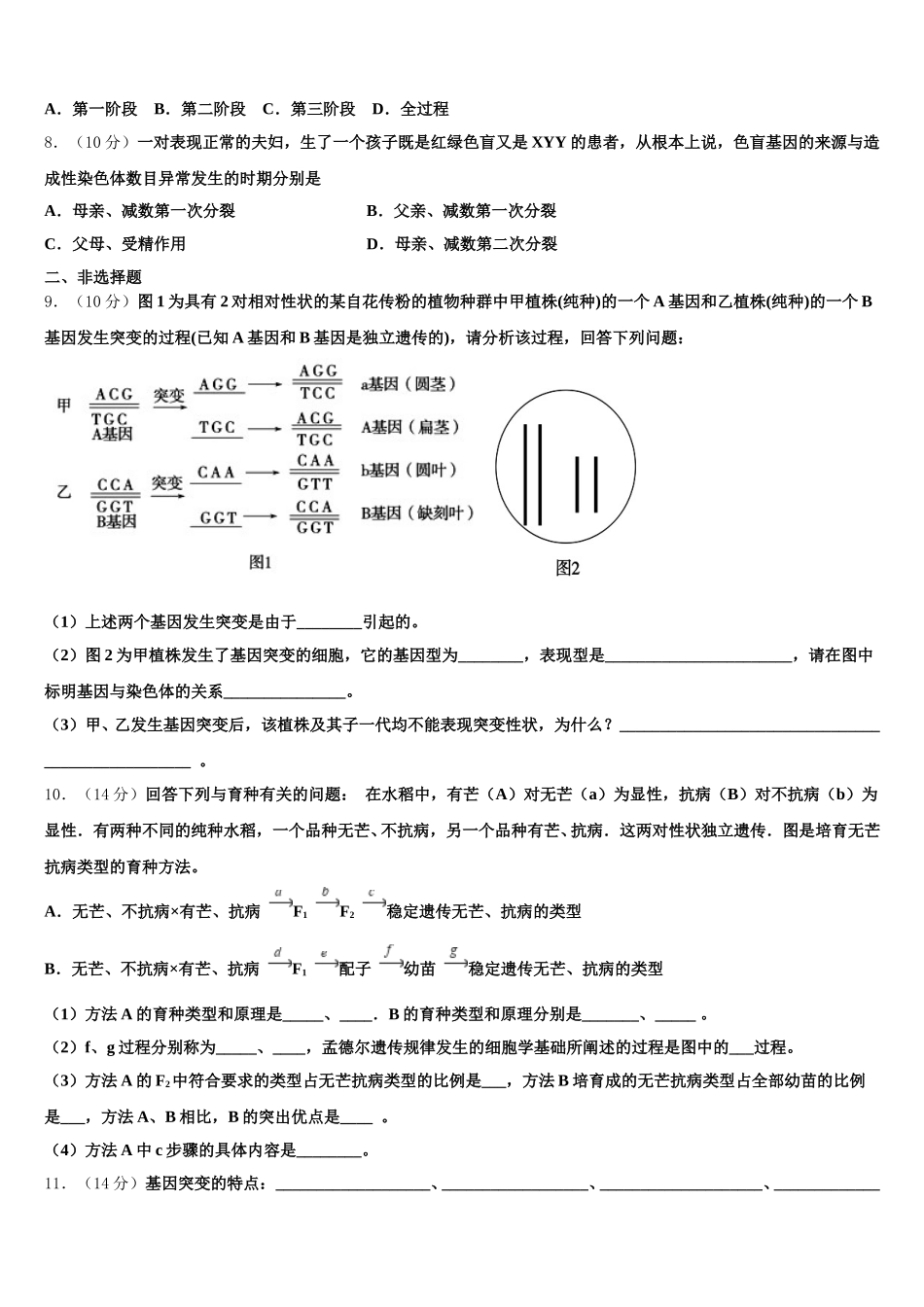 甘肃省庆阳长庆中学2025届高一下生物期末经典试题含解析_第2页