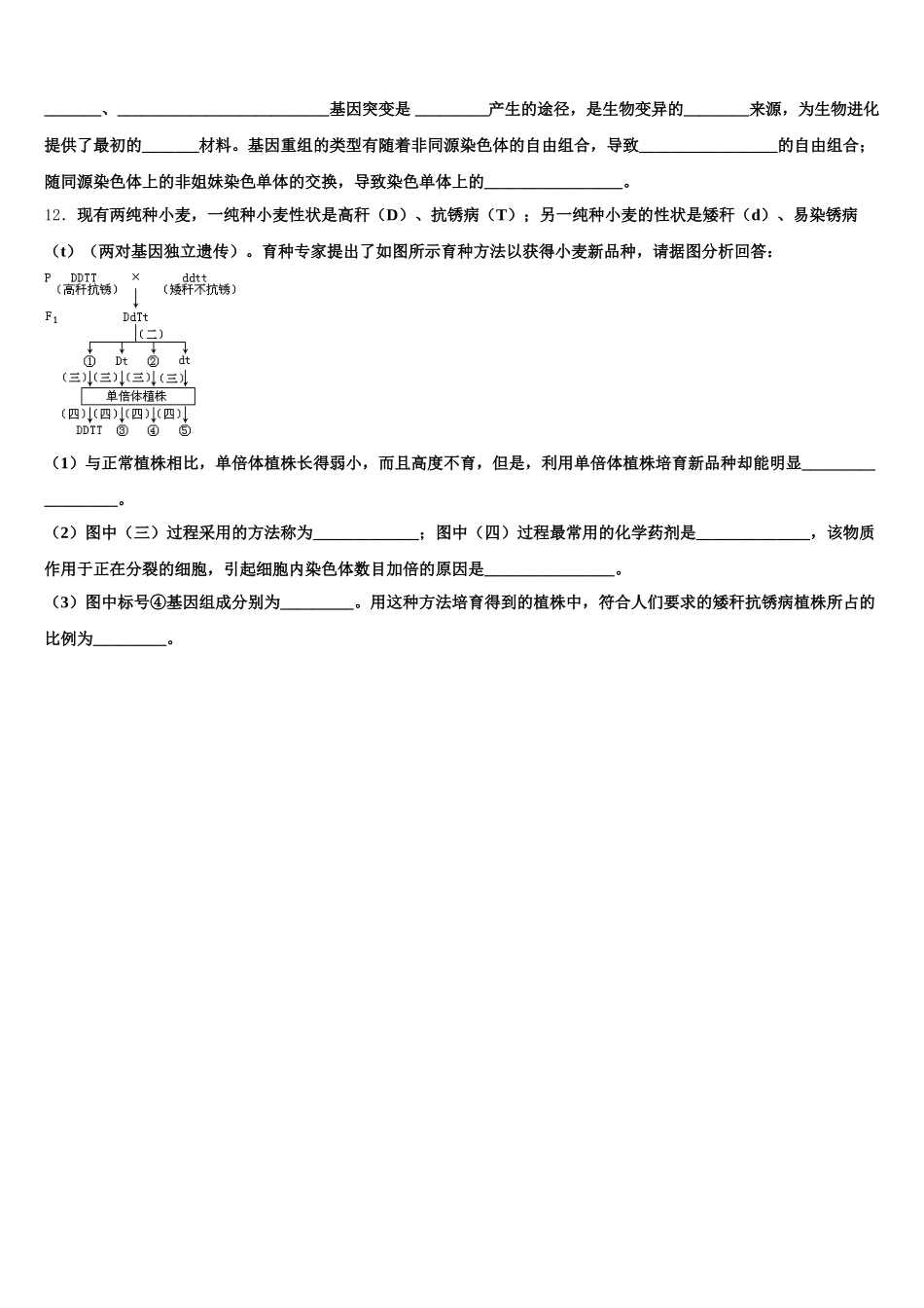 甘肃省庆阳长庆中学2025届高一下生物期末经典试题含解析_第3页