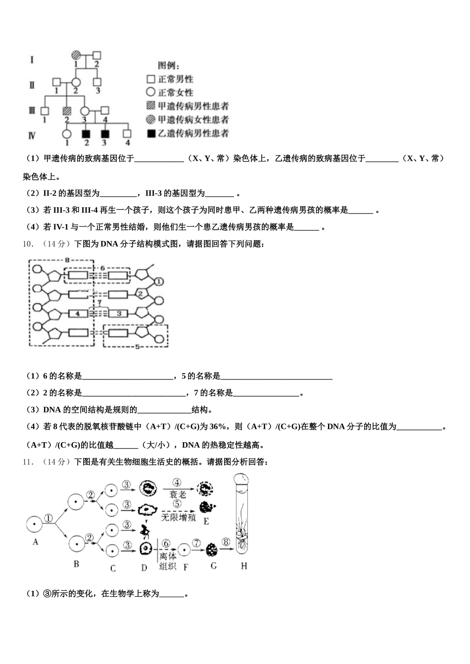 兰州第一中学2025届生物高一下期末学业水平测试试题含解析_第3页