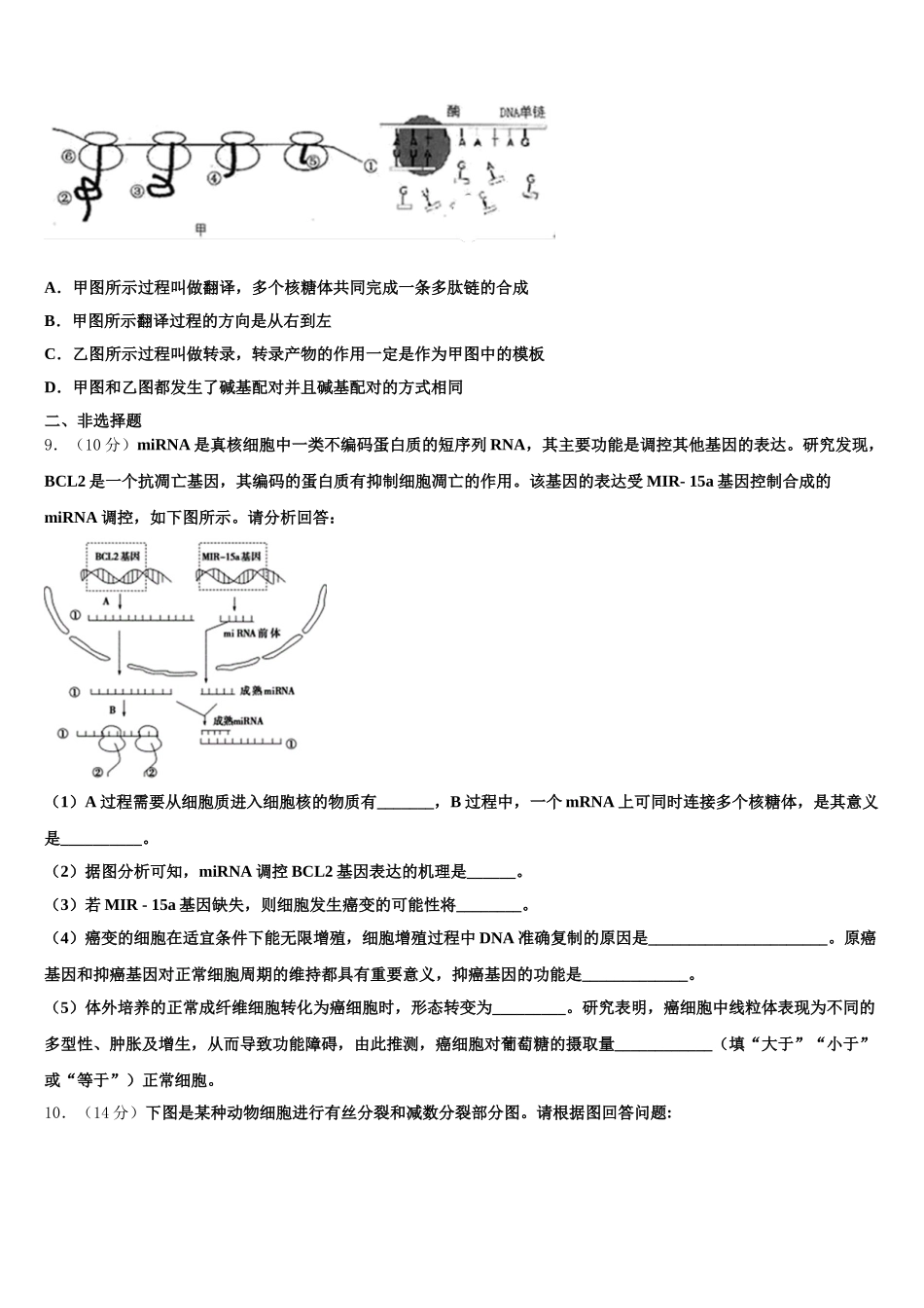 2025年张掖市重点中学生物高一第二学期期末考试试题含解析_第2页